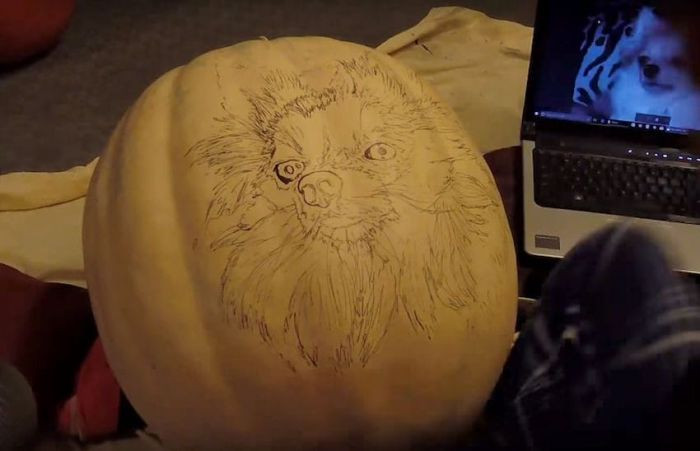 Andy Started by Sketching Sophie on the Pumpkin