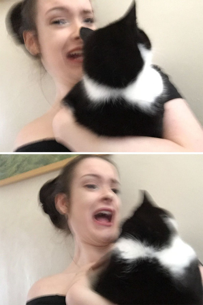 \#67 I Tried To Take A Selfie With My Cat And