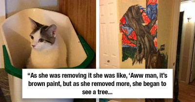 Kitten Rips Up Wallpaper In Bedroom And Uncovers A Hidden Work Of Art