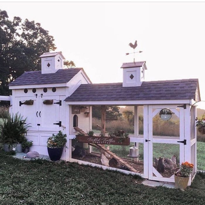 30 Photos Of Extremely Creative Chicken Coops - RVKECHghpLxb 9749 700