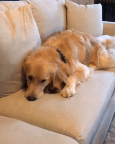 Two for the Price of One!