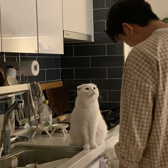 Despite all these behaviors though, Muji still has a side that wants affection from time to time.