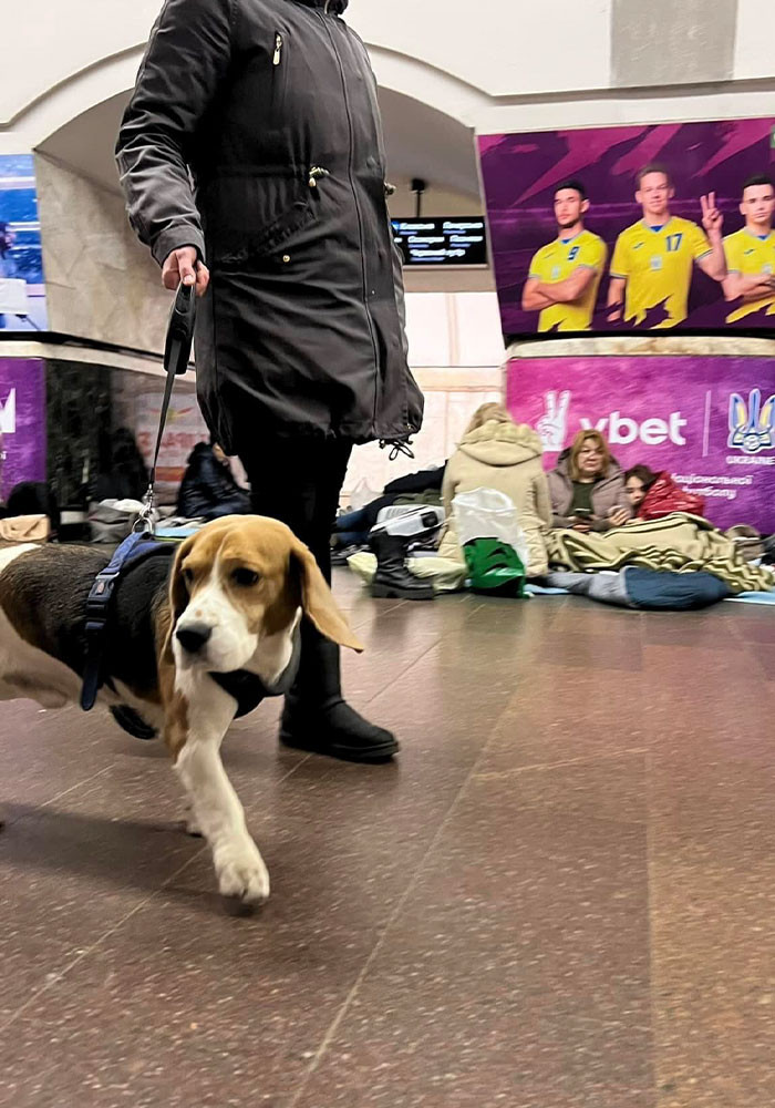 #37 He is going nowhere