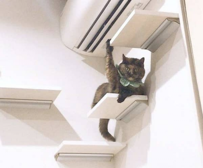 16. I am watching you…