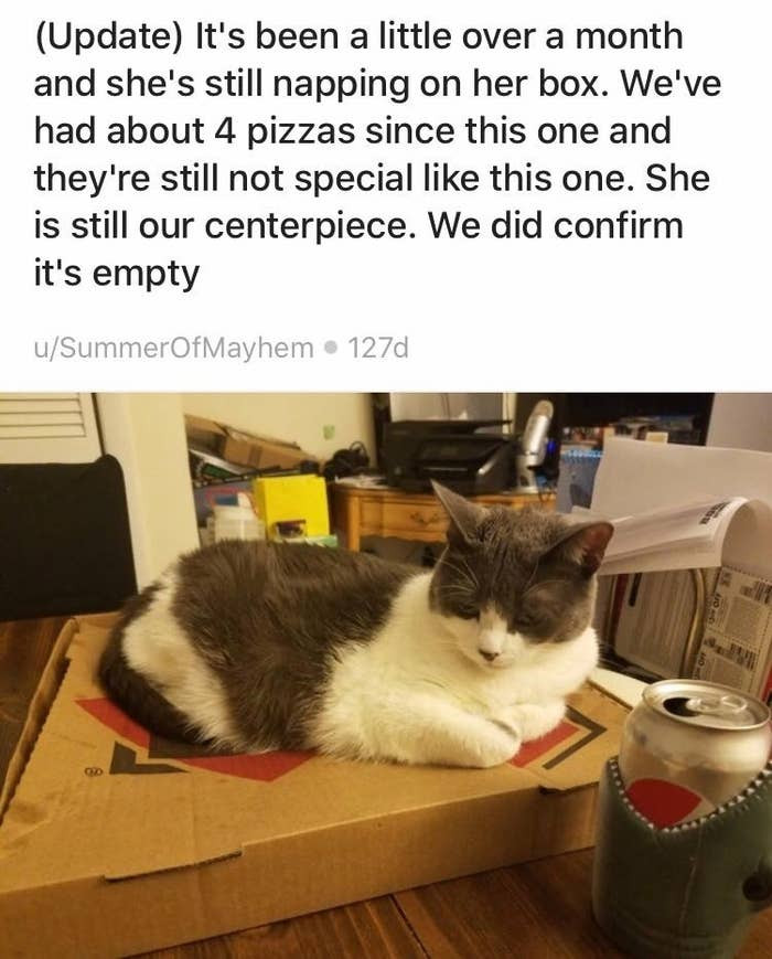 8. She is one with the box.