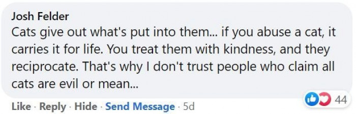 2. Cats get a bad rep, but they are actually the sweetest.