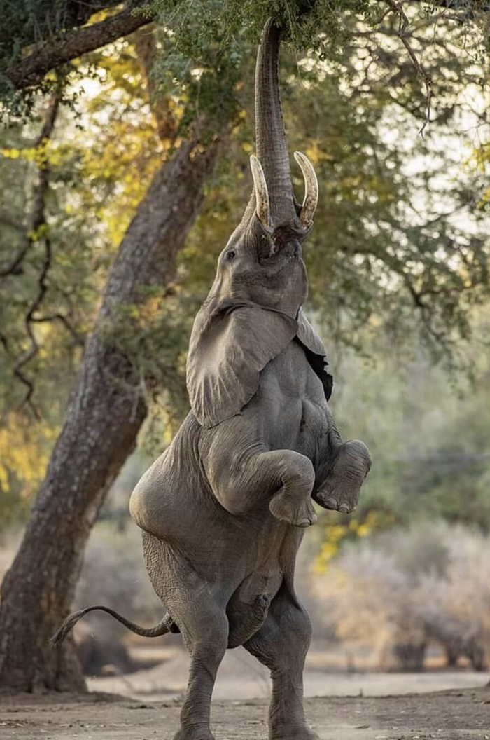 The lighting adds another layer of beauty.