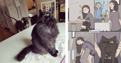 "Crazy Cat Lady" Makes Hilarious Comics About the Daily Life with Her Cat