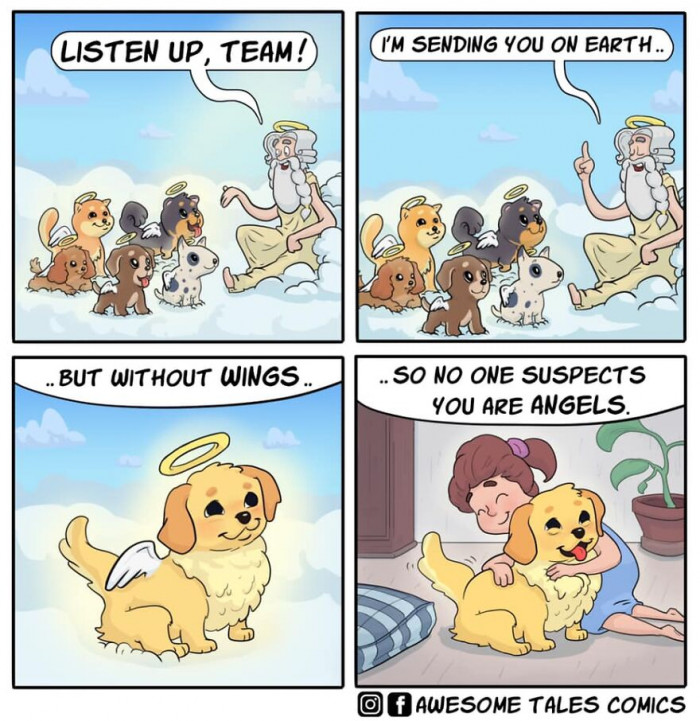 18. Cannot agree with how true this is. Dogs are a man's best friend and truly an angel. 