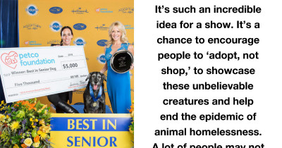 The 'Rescue Dog Only' Dog Show Judges Dogs on Personality Instead of Breed, and It Is the Best Idea Ever