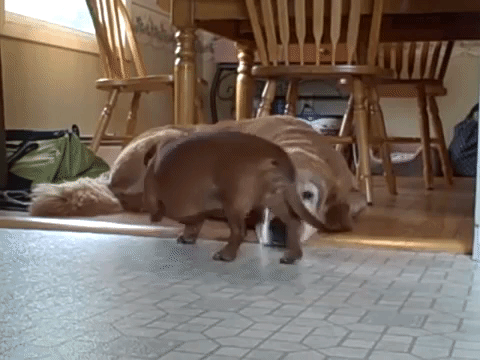 That Sure Is a Friendly Couch.