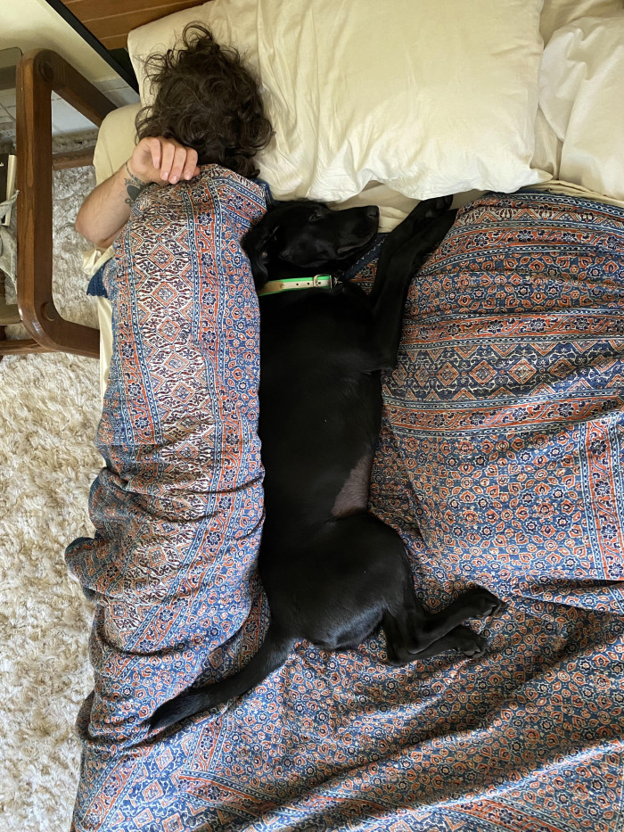 8. "My girlfriend finally woke up before me and caught our usual sleeping arrangement that I’ve been complaining about. The bed is king-size."