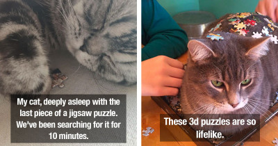 Cats Will Do Everything In Their Power To Stop You From Finishing Your Puzzle