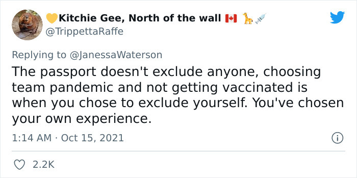 19. You chose your own experience