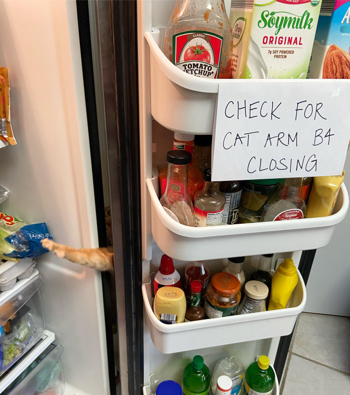 6. Sign checks out.