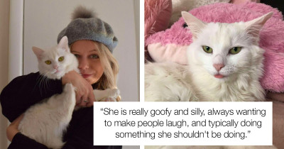 Silly Cat Can’t Remember How To Use Her Litter Box (Video)