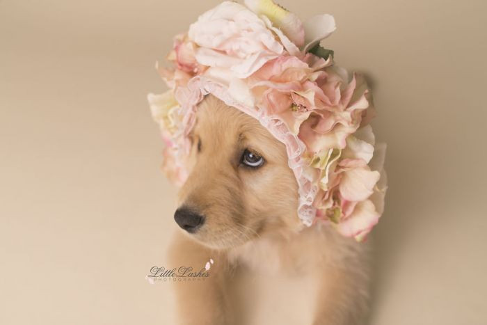 That Snapchat filter in real life