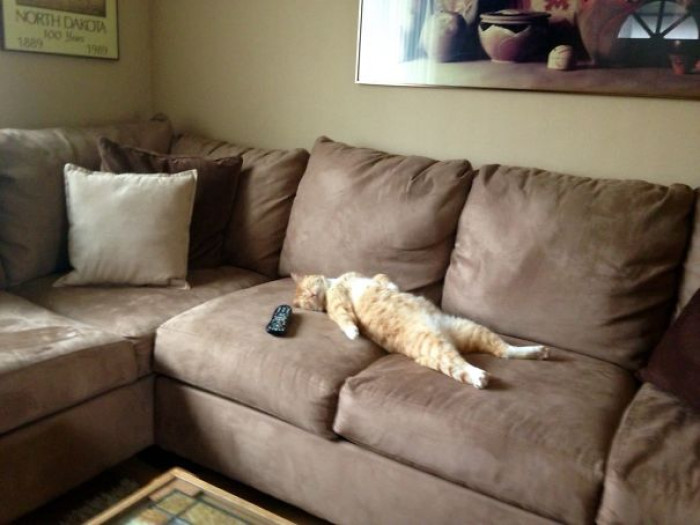 3. "I passed out watching TV...sorry, bro."