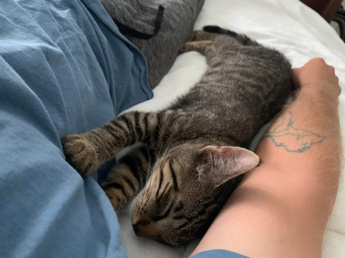 2. "I was working and heard some distant meows… I found this guy under a milk crate with other heavy boxes on top of it (screw people). He looks happy now."