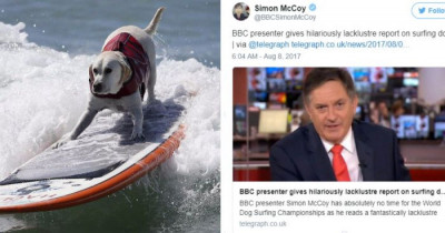 This English Reporter Is Getting Roasted Online For His Dislike Of Surfing Dogs
