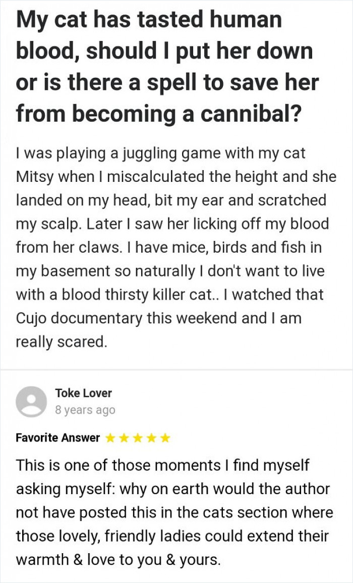 Will Misty, the cat, become a human eater?