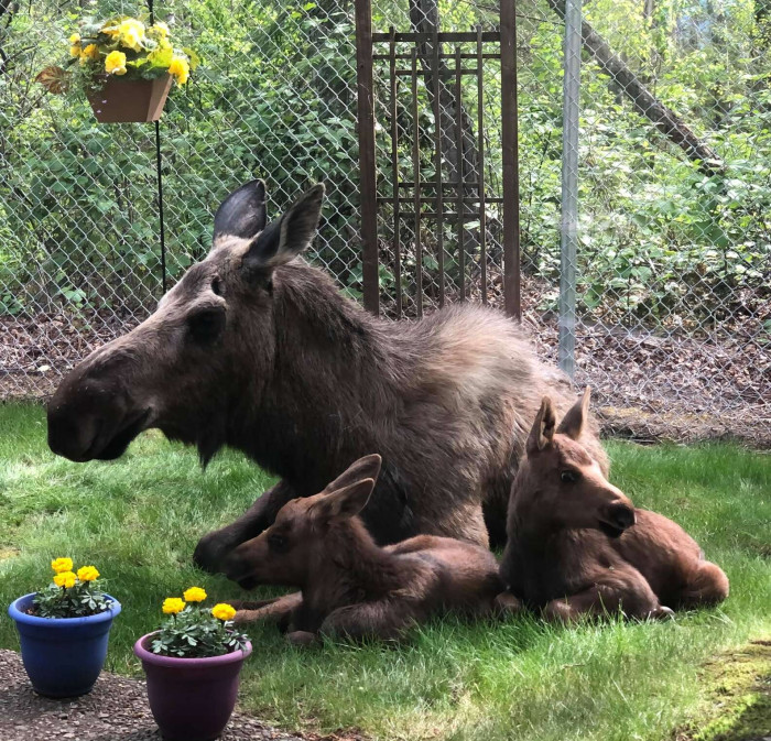 The family was trying to catch the sun and moved around the yard accordingly