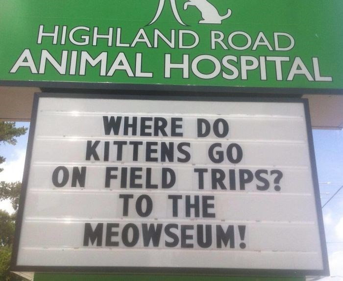 1. Cats do love the meowseum.