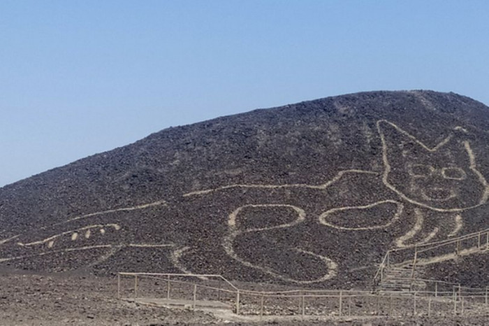 The 120-foot cat layout was discovered near the Pan-American Highway