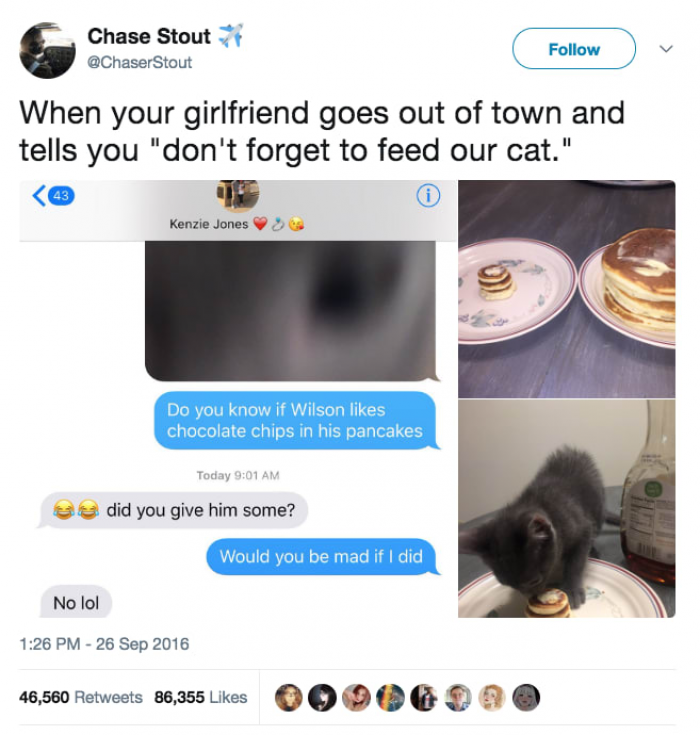 27. Feed the kitten?