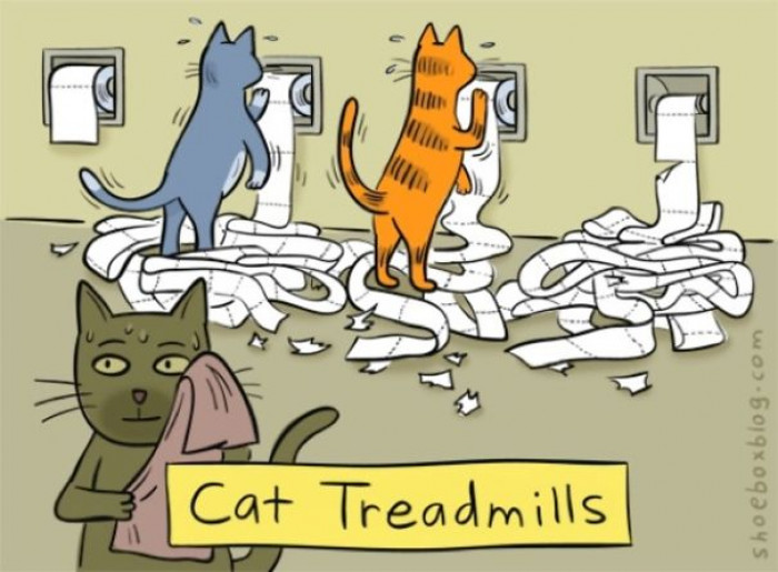 #27 Treadmill For Cats