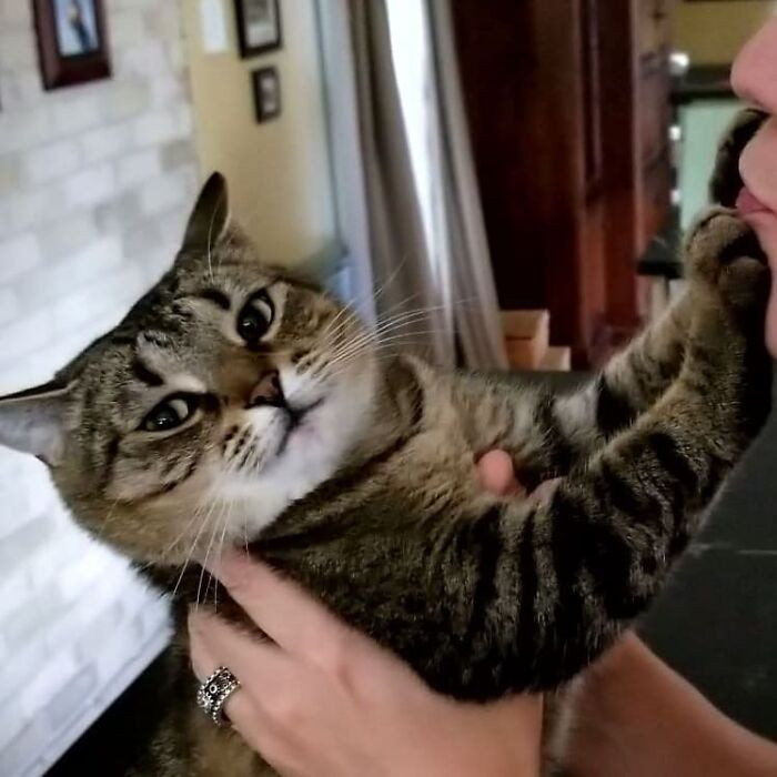 24. "Happy Day, Mama! We Love You, But No Kisses"