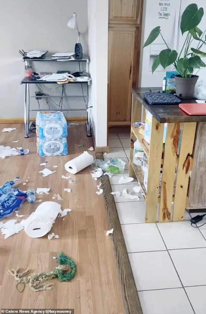 Baylee Mooney came home to a scene of devastation