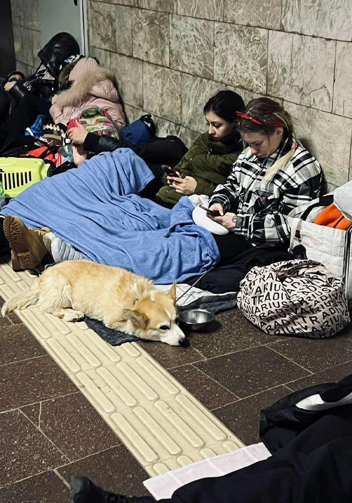 #38 We are in this together