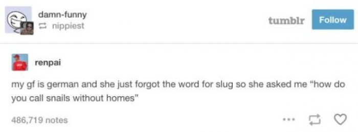 5. Life's greatest questions go something like this.