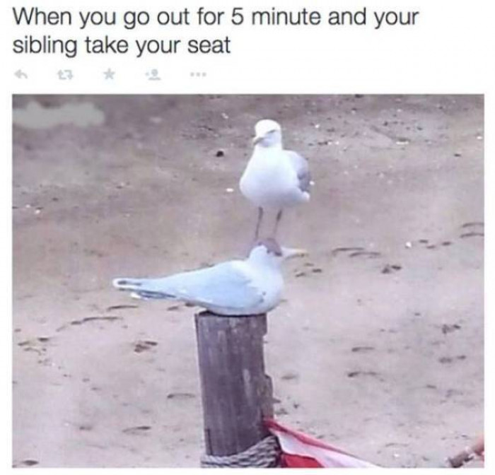 16. That's my spot.