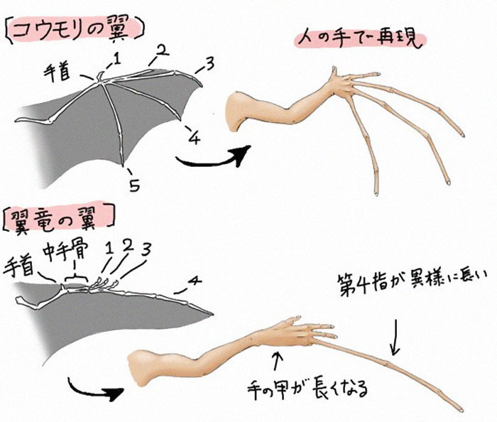 12. Human bat wings vs. Human pterosaur