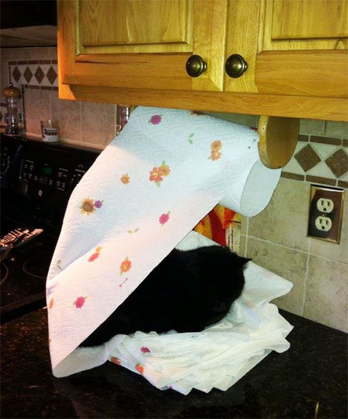 7. She made a bed for herself