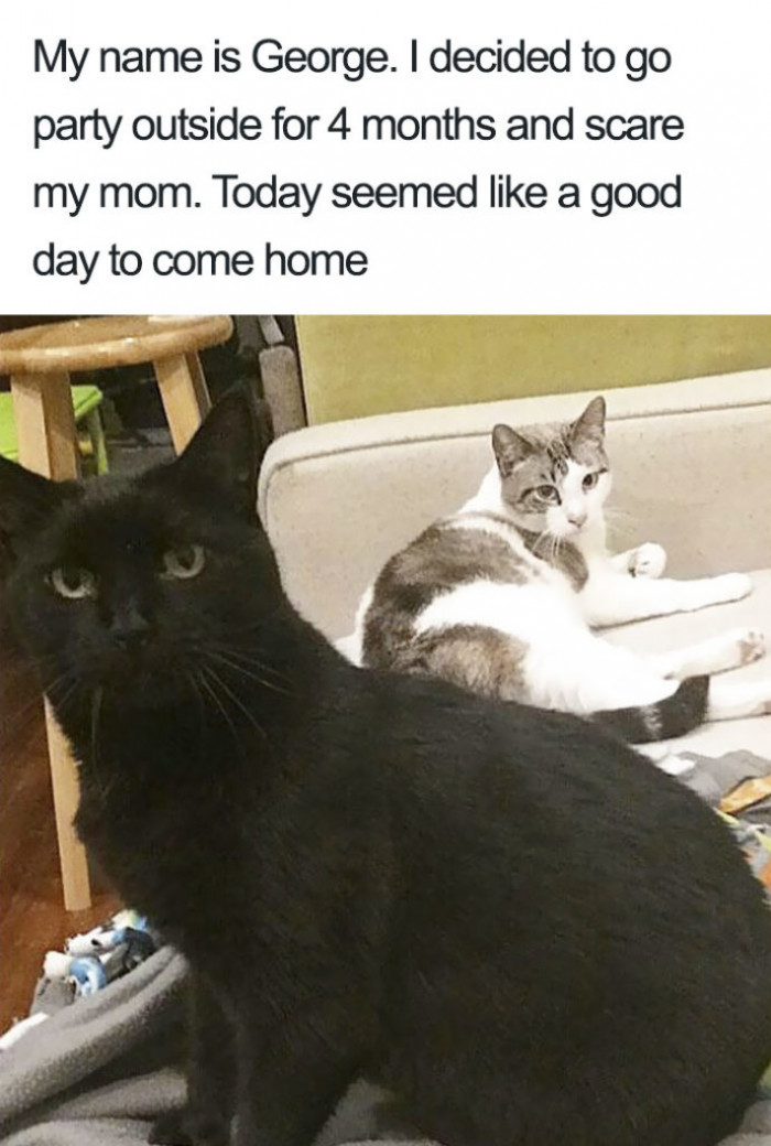 Hello, George! Nice to finally have you home!