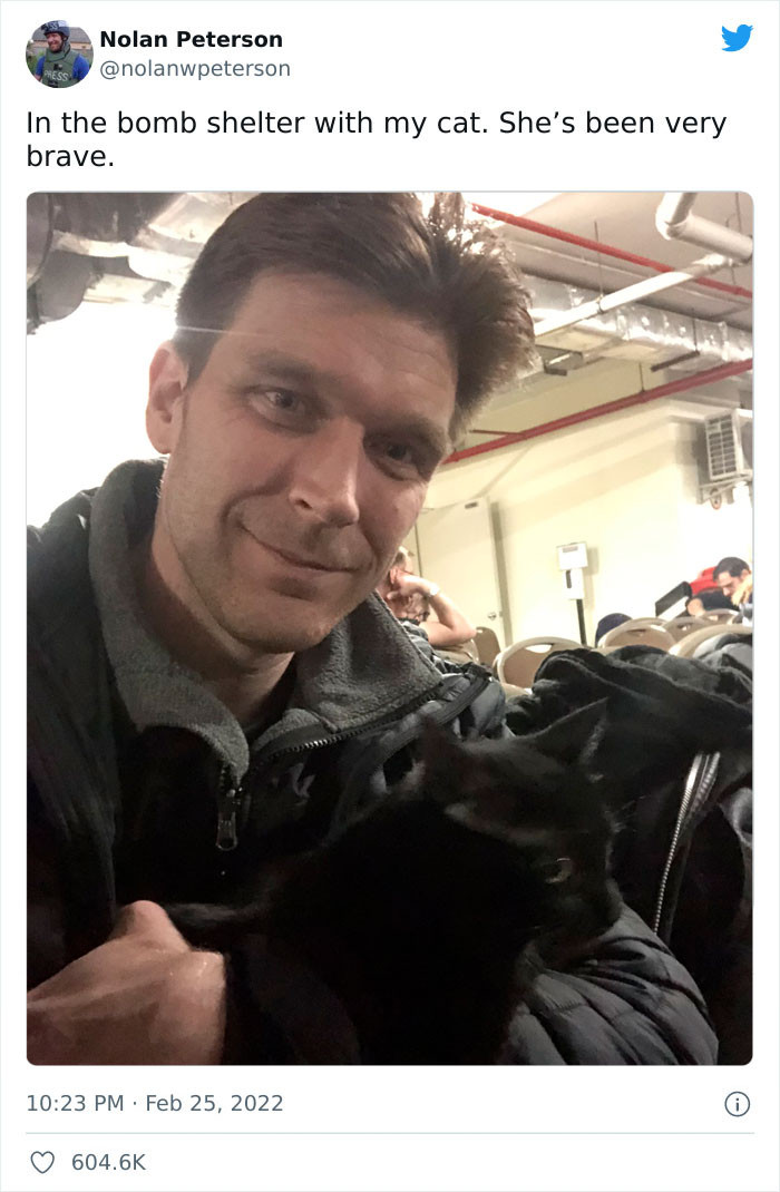 #1 My cat has been very brave