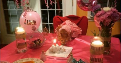 A Quinceañera is The Pur-fect Way to Celebrate Your Cat.