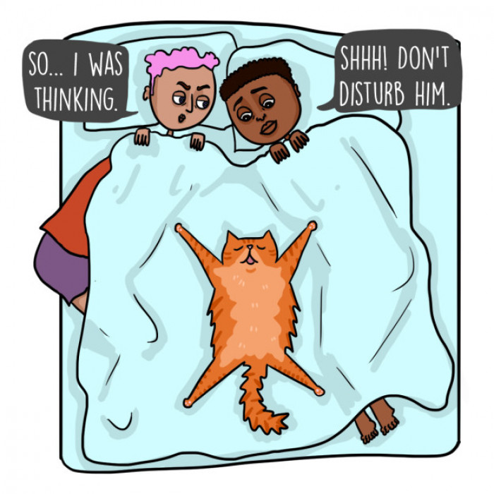 9. Never get a good night sleep because you can’t choose a position that suits you, because you don’t want to disrupt your cat’s sleep.