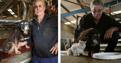 The Oldest Dog in the World Has Passed Away