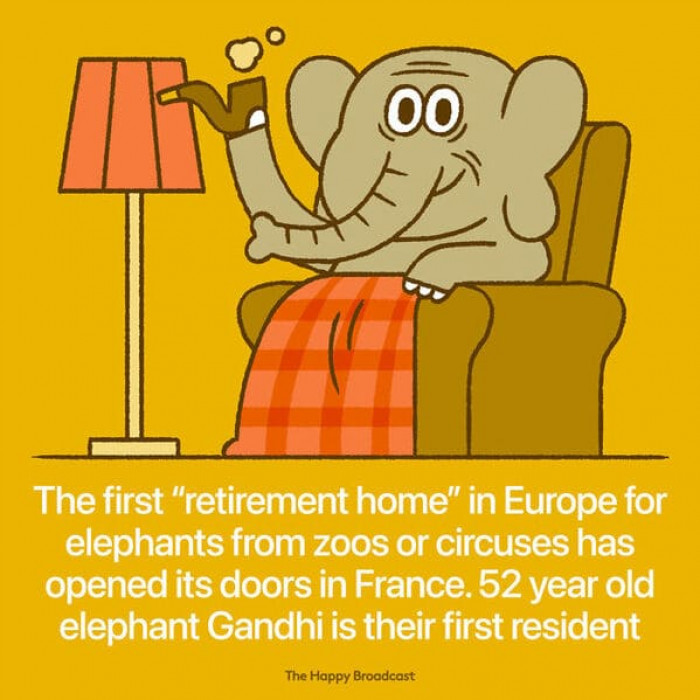 15. Elephant retirement home