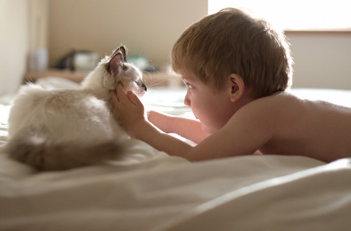 Her kids are totally, madly, and deeply in love with these cats, and they are practically inseparable.