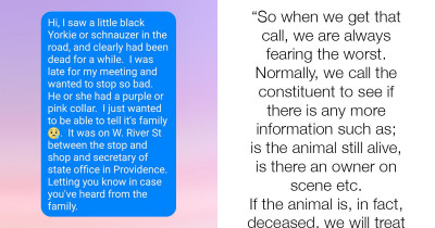 The Funniest Story About A Dog That Died That You'll Read All Day