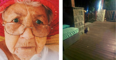 Woman Thought She Was Loving on a Cute Stray Cat Until She Put Her Glasses On and Realized It Wasn't a Cat at All