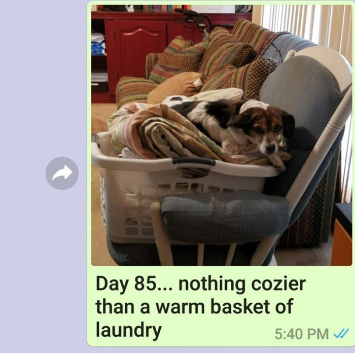 Day 85.