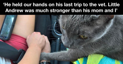 Sick Cat Wanted To Let His Humans Know Just How Much He Loved Them On His Final Day On This Earth