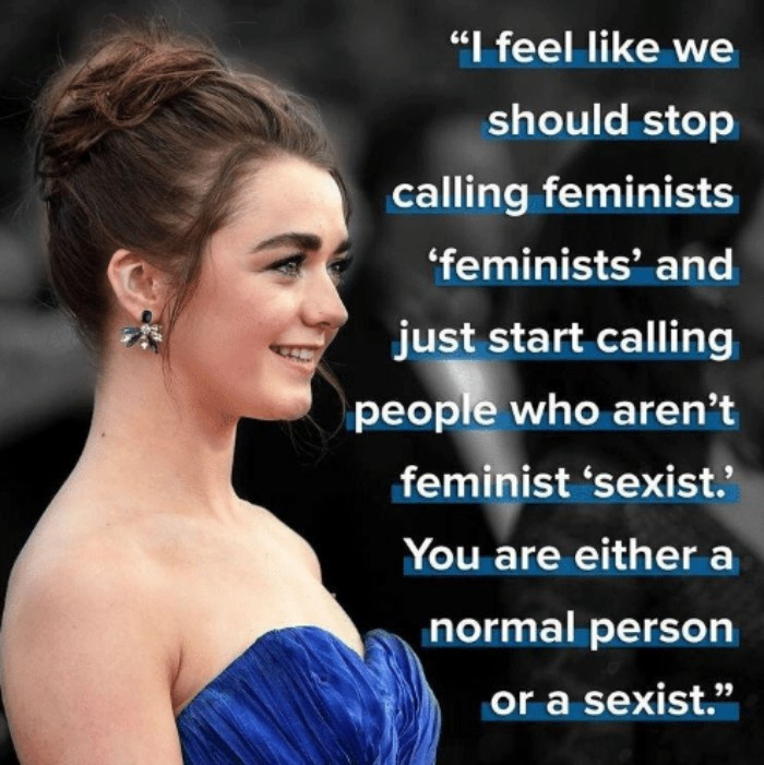 50 Feminist Memes That Most People Will Find Amusing But Will Irritate Sexists