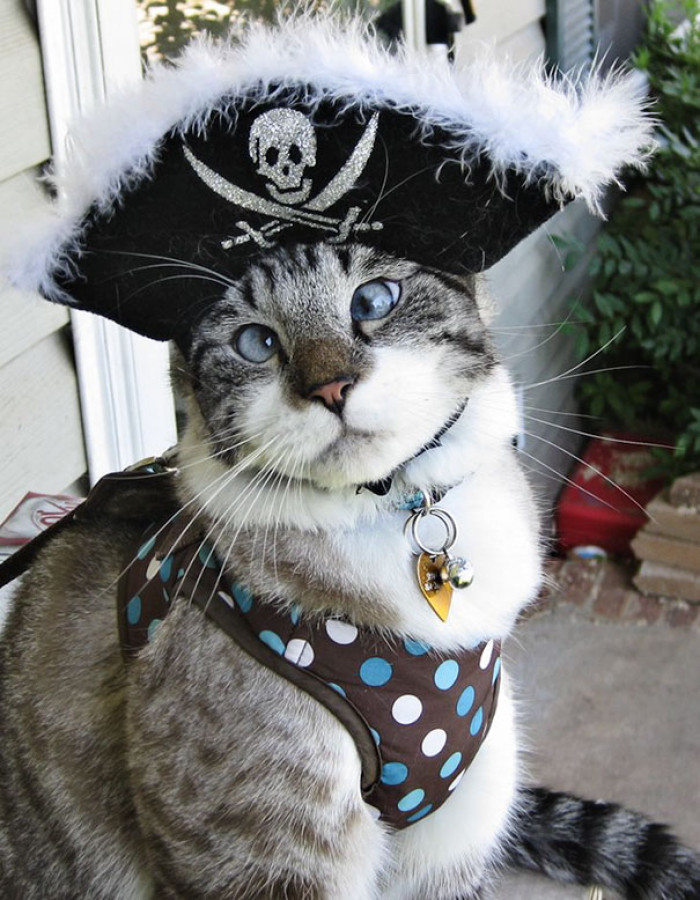 Pirate Catto